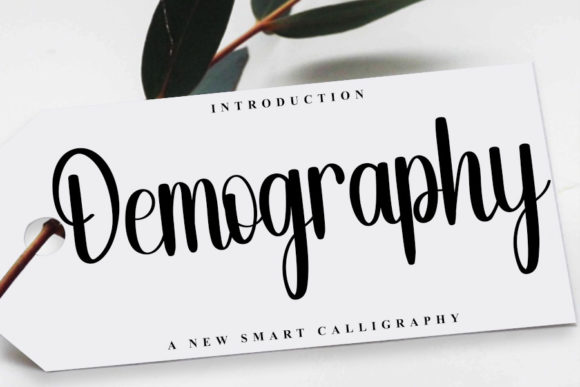 Demography: A Charming and Elegant Handwritten Font