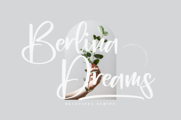 Elevate Your Web Design with Berlina Dreams Font